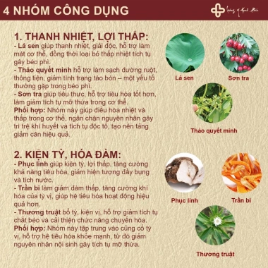 Trà Tiêu Thực Detox 100% Thải Mỡ Bụng, Đùi, Giảm Cân Nhanh - Giá Ưu Đãi 146k