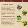 Trà Tiêu Thực Detox 100% Thải Mỡ Bụng, Đùi, Giảm Cân Nhanh - Giá Ưu Đãi 146k 5