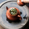 Trà xanh Shan Tuyết Tà Xùa, Đặc Sản Bắc Yên Sơn La Việt Nam, Vị Chát Hậu Thanh Ngọt, Hương Thơm 4