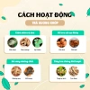 Trà Xương Khớp Bội Lan Đường 50 lọc - Hỗ trợ khớp, giảm đau, Giá ưu đãi 176.000 VND 6