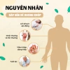 Trà Xương Khớp Bội Lan Đường 50 lọc - Hỗ trợ khớp, giảm đau, Giá ưu đãi 176.000 VND 7