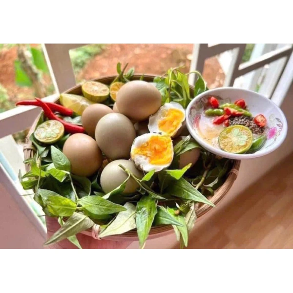 Giá trị dinh dưỡng của trứng Chim Trĩ tươi màu tự nhiên – Phân tích thành phần và lợi ích sức khỏe