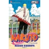 Truyện Naruto toàn bộ T1-T72 END - Bản TB2.024 giá ưu đãi 25.000 VNĐ