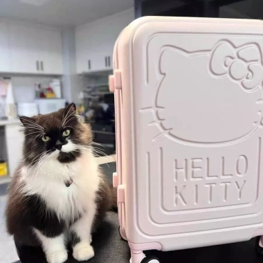 Vali Kéo Hello Kitty 2.025 Siêu Cấp Màu Hồng Dễ Thương Size 20 24 26 Giá Cực Sốc 2.000.000 ₫ 2