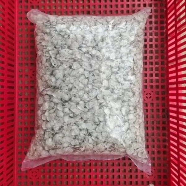 Dinh dưỡng trong vây cá chẽm phơi khô 1kg: Thành phần và lợi ích cho cơ thể