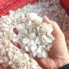 Vảy Cá Chẽm Phơi Khô 1kg - Giảm Giá Cực Sốc Còn 69.999đ Thay 88.199đ 6