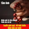 Vòng tay đá Mã Não Chu Sa HFH - Phong thủy, tâm linh, quà May Mắn 12 con Giáp 4