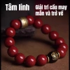 Vòng tay đá Mã Não Chu Sa HFH - Phong thủy, tâm linh, quà May Mắn 12 con Giáp 6