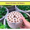 Xỉ Than Tổ Ong Lọc Nước Nuôi Cá Trồng Cây Cảnh - Giá Rẻ 5.500đ Nhận Đơn Miền Bắc 4