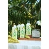 1 Thùng 12 Chai Nước Uống Mật Hoa Dừa Tươi Organic SOKFARM 330ml - Đặc Sản Thơm Ngon Giá Ưu Đãi 295k 2