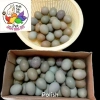 10 Trứng Gà Rutin Có Cồ Trên 50% - Giảm Giá Đến 25.000 VNĐ, Bổ Dưỡng Sức Khỏe 3