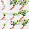 12 Phong Cách Chậu Cây Nhà Búp Bê Nhựa Thân Thiện Môi Trường, Trang Trí Nhà COD, Giá Ưu Đãi 42,020₫