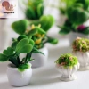 12 Phong Cách Chậu Cây Nhà Búp Bê Nhựa Thân Thiện Môi Trường, Trang Trí Nhà COD, Giá Ưu Đãi 42,020₫ 6