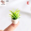 12 Phong Cách Chậu Cây Nhà Búp Bê Nhựa Thân Thiện Môi Trường, Trang Trí Nhà COD, Giá Ưu Đãi 42,020₫ 8
