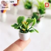 12 Phong Cách Chậu Cây Nhà Búp Bê Nhựa Thân Thiện Môi Trường, Trang Trí Nhà COD, Giá Ưu Đãi 42,020₫ 9