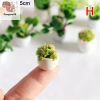 12 Phong Cách Chậu Cây Nhà Búp Bê Nhựa Thân Thiện Môi Trường, Trang Trí Nhà COD, Giá Ưu Đãi 42,020₫ 10