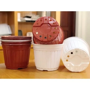 2 chậu nhựa trồng hoa 26x20cm - Mua 5 chậu không móp, màu ngẫu nhiên, giá ưu đãi 2