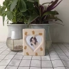 Album Polaroid 9cm Đuổi Theo Chuyến Tàu Lưu Trữ Vé Thẻ Kỷ Niệm 2.026 2