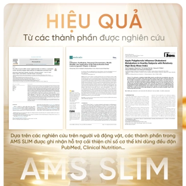 AMS SLIM 2 Hộp Viên Uống Cải Thiện Vóc Dáng, Hỗ Trợ Chuyển Hóa Chất Béo - 454.999₫