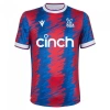 Áo bóng đá Crystal Palace sân nhà 2.022-2.023 - Thiết kế fan hâm mộ, giá 140.400₫ 7