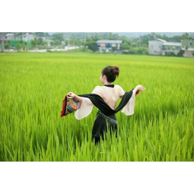 Áo cóm cổ V tơ hồng cam nẹp đen 2 cánh bươm tay dài xoè Giá ưu đãi 300.000 VND