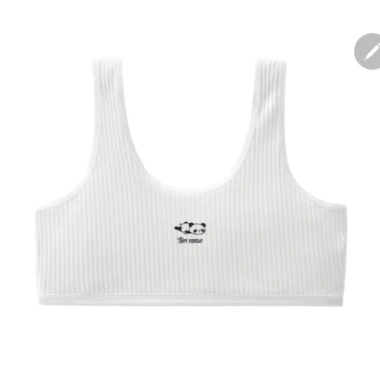 Áo lót học sinh màu trắng cotton mút mỏng, họa tiết gấu trúc đáng yêu, chỉ 29.900₫ 3