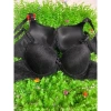 Áo Lót Nữ Mút Mỏng 1.5cm Phối Ren Nâng Ngực Có Gọng Giá Giảm 20% Chỉ 95.000 5