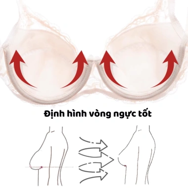 Áo Ren Ngực SamBra Quyến Rũ Gợi Cảm, Mút Mỏng và Mềm Mại, Thiết Kế Đẹp, Giá 133.000 5