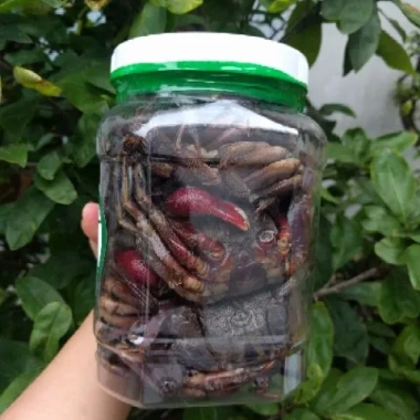 Ba Khía Nguyên Con Cà Mau 1kg Giá Rẻ - Mua Sắm Tận Hưởng FREESHIP 99K Toàn Quốc Chỉ 250k 6 Ba Khía Nguyên Con Cà Mau 1kg Giá Rẻ - Mua Sắm Tận Hưởng FREESHIP 99K Toàn Quốc Chỉ 250k 6