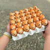 BACKSTREET Squishy Fidget Shiba Inu Phục Hồi Chậm Đồ Chơi Căng Thẳng 28.490₫ 9