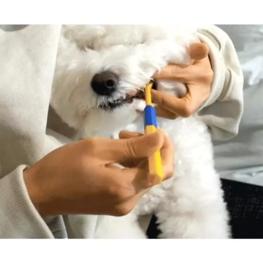 Bàn chải PETHROOM cho chó mèo – Lông PBT 0,08mm, đầu siêu nhỏ, làm sạch sâu, an toàn nhẹ nhàng 3