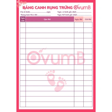 Bảng canh ngày rụng trứng OvumB – Giá 12.000đ, giảm 3.000đ, theo dõi sinh sản chính xác 2 Bảng canh ngày rụng trứng OvumB – Giá 12.000đ, giảm 3.000đ, theo dõi sinh sản chính xác 2