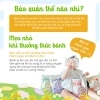 Bánh ăn dặm gạo lứt hữu cơ thanh dẹt Mom's Choice cho bé 6 tháng - 72.000đ 8