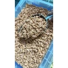 Bánh catnip tiêu búi lông sạch răng thơm miệng - Thưởng cho mèo, giá ưu đãi 28,350₫ 8