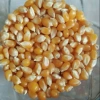 Bắp hạt 1kg loại xịn - Dễ làm bắp rang bơ, giá ưu đãi 35.000 VND