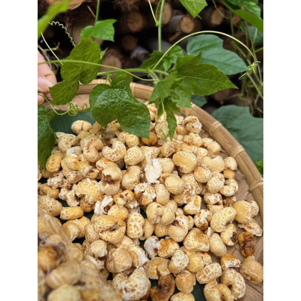 Trải nghiệm Bắp Nổ Giòn Không Đường: Hương vị, độ giòn và cách thưởng thức tối ưu