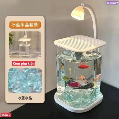 Bể cá Decor Mini để bàn, Đèn LED tích hợp - Thiết kế hiện đại, chỉ 128.900₫
