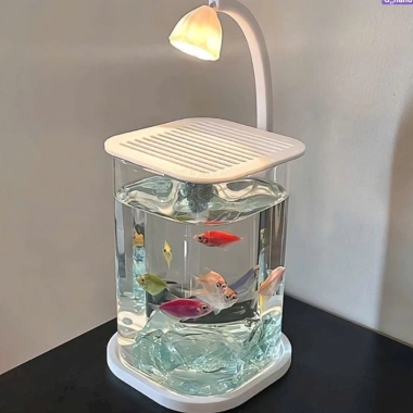 Bể cá Decor Mini để bàn, Đèn LED tích hợp - Thiết kế hiện đại, chỉ 128.900₫