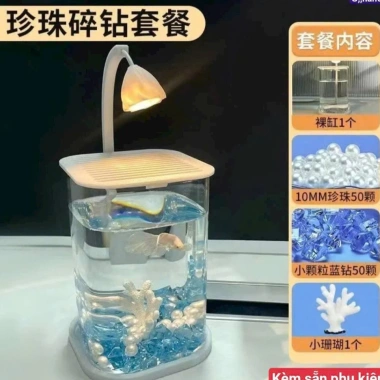 Bể cá Decor Mini để bàn, Đèn LED tích hợp - Thiết kế hiện đại, chỉ 128.900₫