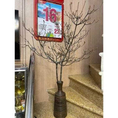 Bình Hoa Gốm Bát Tràng Dáng Chày - Cắm Cành Đào, Tuyết Mai, Giá 199.000đ