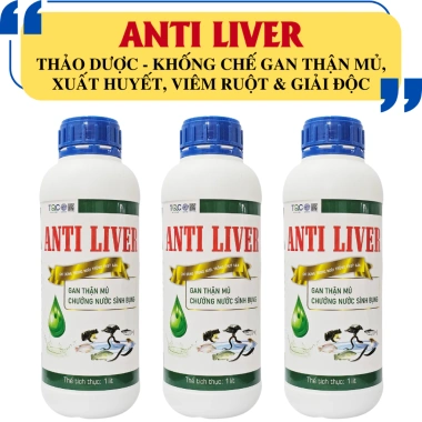 Bộ 3 Siêu Tăng Trọng, Chắc Thịt, Chắc Xương, Chống Gù Lưng, Giải Độc Gan, Kích Bật Mồi cho Cá, Ếch, Lươn - 660.000đ 4