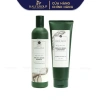 Bộ Dầu Gội Gừng Trắng Weilaiya 400ml+250ml - Ngăn rụng, hỗ trợ mọc tóc, giá ưu đãi 560.000₫