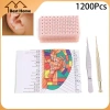 Bộ đồ chơi 4 trong 1 - 1.200 hạt tai đa điều hòa, dụng cụ châm cứu, biểu đồ bấm huyệt 2