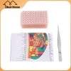 Bộ đồ chơi 4 trong 1 - 1.200 hạt tai đa điều hòa, dụng cụ châm cứu, biểu đồ bấm huyệt 10