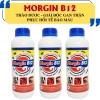 Bộ đôi lươn: Chống còi, xỉu, chắc xương, ngăn gù lưng, tăng đề kháng - 435.000₫ 3