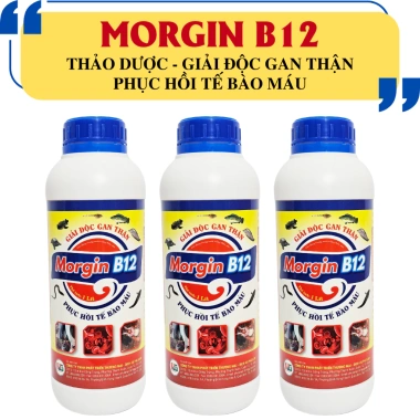 Bộ đôi lươn: Chống còi, xỉu, chắc xương, ngăn gù lưng, tăng đề kháng - 435.000₫ 3