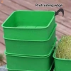 Bộ nồi nảy mầm chất liệu bền, trồng vườn thực tế, phù hợp nông nghiệp nhà kính - giá ưu đãi 54.340đ 6