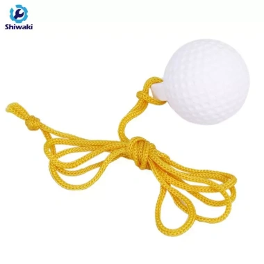 Bộ Swing Golf Driving Range Ball dây 1,2m - Bóng tập chuẩn, giảm còn 57.200₫ 7