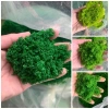 Bột Cỏ Rêu Nhựa Làm Lá Cây - Mảng Rêu, Rêu Sợi Nhựa Gai, Giá chỉ 12.000đ