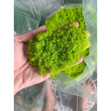 Bột Cỏ Rêu Nhựa Làm Lá Cây - Mảng Rêu, Rêu Sợi Nhựa Gai, Giá chỉ 12.000đ 7